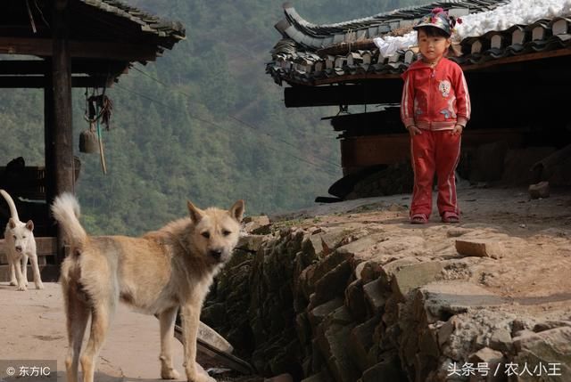 农村老话：狼怕一庹，狗怕一摸，说的是什么意思？