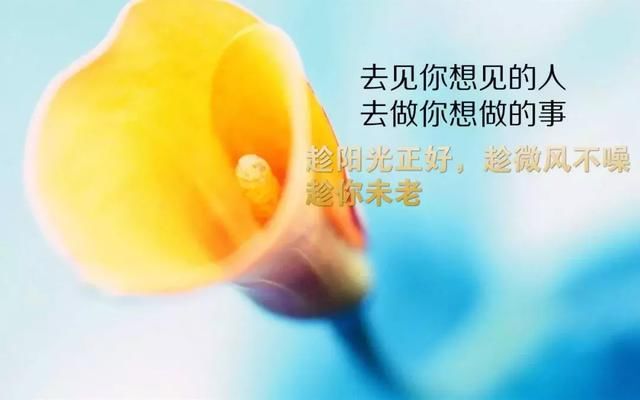 微信正能量的句子经典早安 每日早安奋斗励志的句子