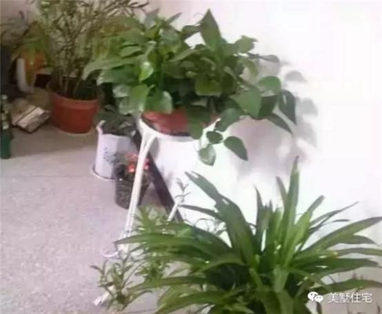 微商回乡建别墅后晒图,网友:别侮辱别墅好吗?