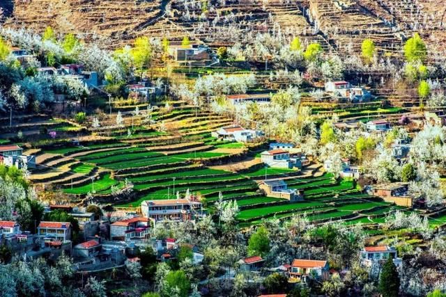 大好春光，3月花开成海！中国最美的10个赏花地，惊艳整个朋友圈