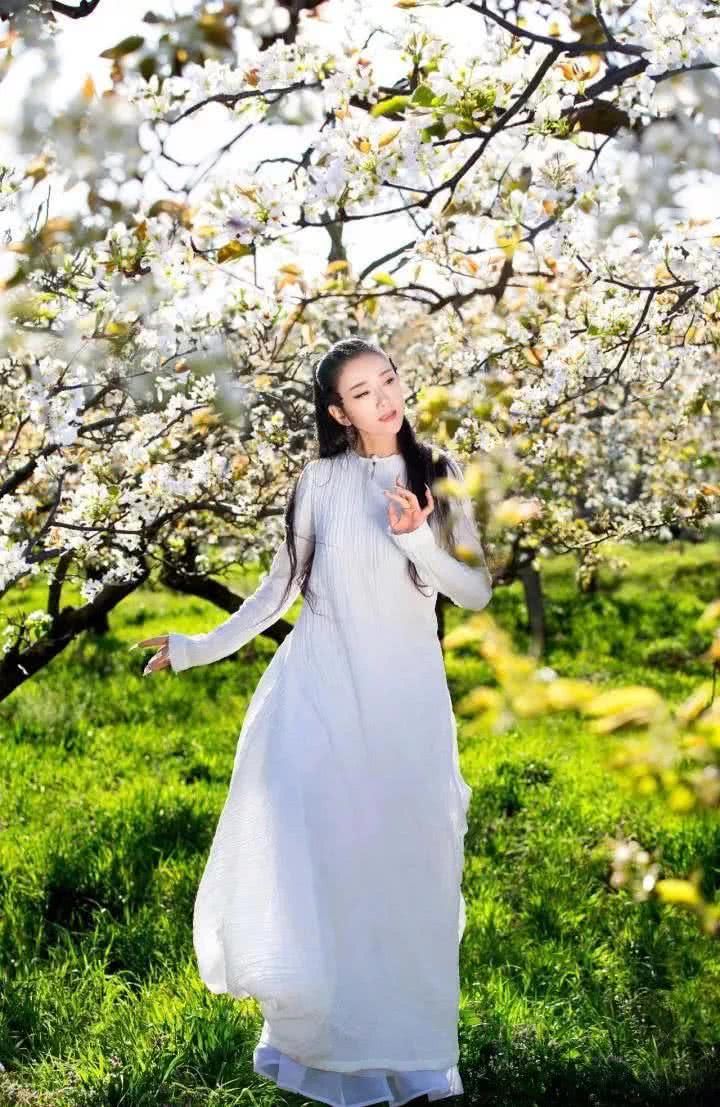 我在梨花盛开的听紫云，候你佳音！