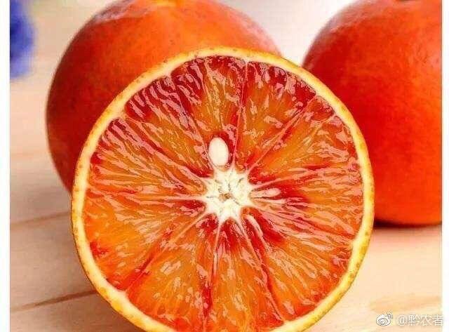 橙子中最红的橙子,血橙