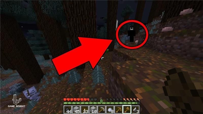 我的世界:揭秘HIM三大恐怖传闻,据说只有实体303才能杀死他?