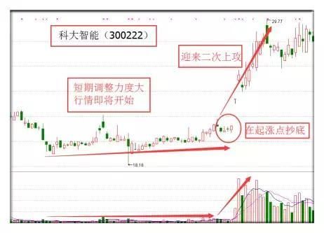 中国股市为什么会是这样？散户纷纷割肉退市，亿万富翁倾家破产