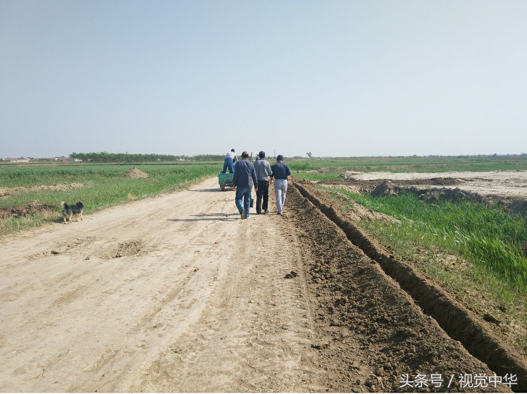 山东滨州:真实的农村场景，你的老家也这样吗?