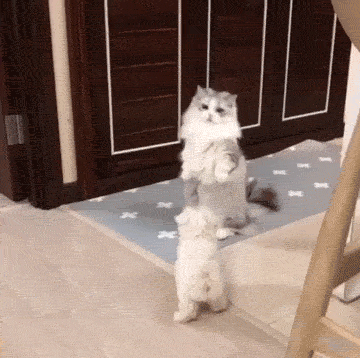 出国要办理哪些手续