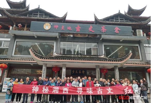 采春茶游苗寨 古丈茶旅正当时