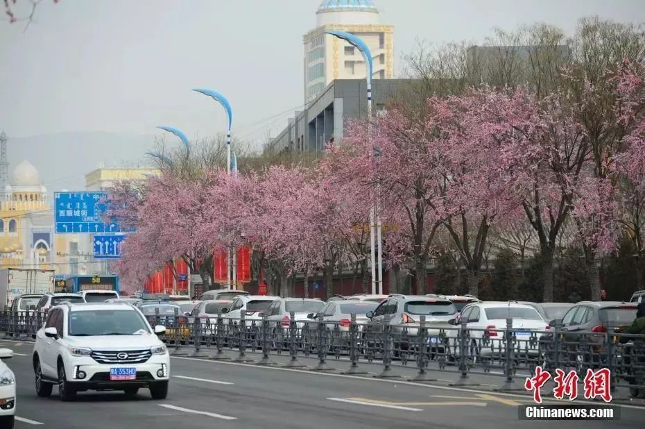 呼市人注意!春节期间这9条消息大家要知道，看到第1条很多人乐了