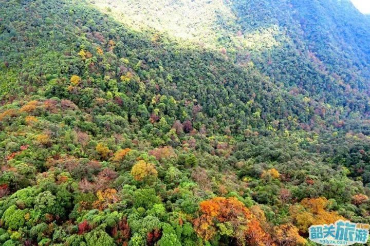 赞!涤荡身心、融入自然的好去处!山高水清树美，就藏在韶关!