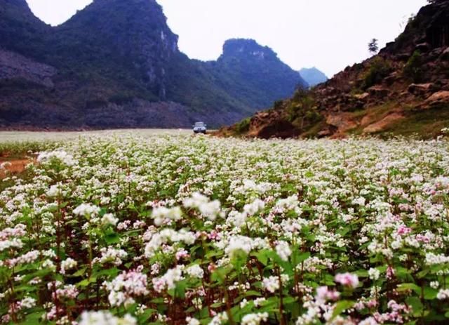 这十个地方打包了整个中国最美的春天，刷屏了朋友圈