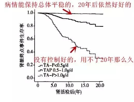 肾不好，是因为纵欲过度？……这10个谣言别再信了