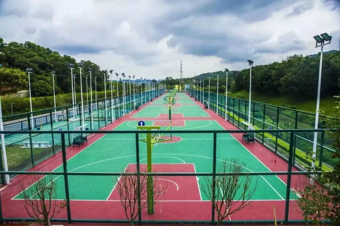 抓住春天的尾巴,罗湖周末春游好去处,赏花爬山