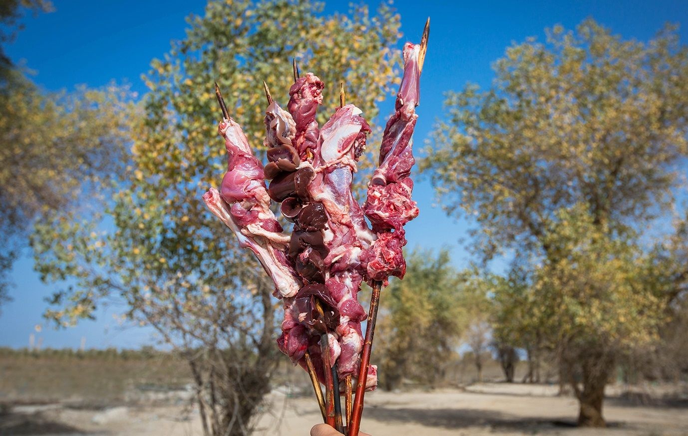 原来这才是正经的新疆烤羊肉串，哪需要加啥孜然