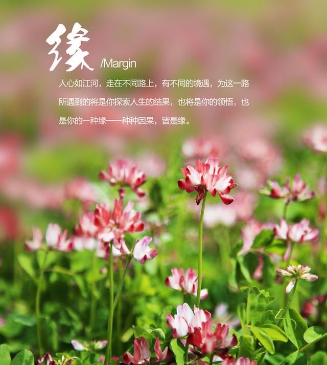 这才叫真正的缘,是缘分就好好珍惜!愿你每天开心!