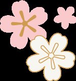 5000人一起徒步看樱花？！人从众，花美，人更美！