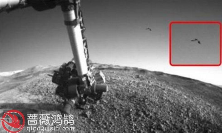 NASA公布的图片显示外星人的存在?