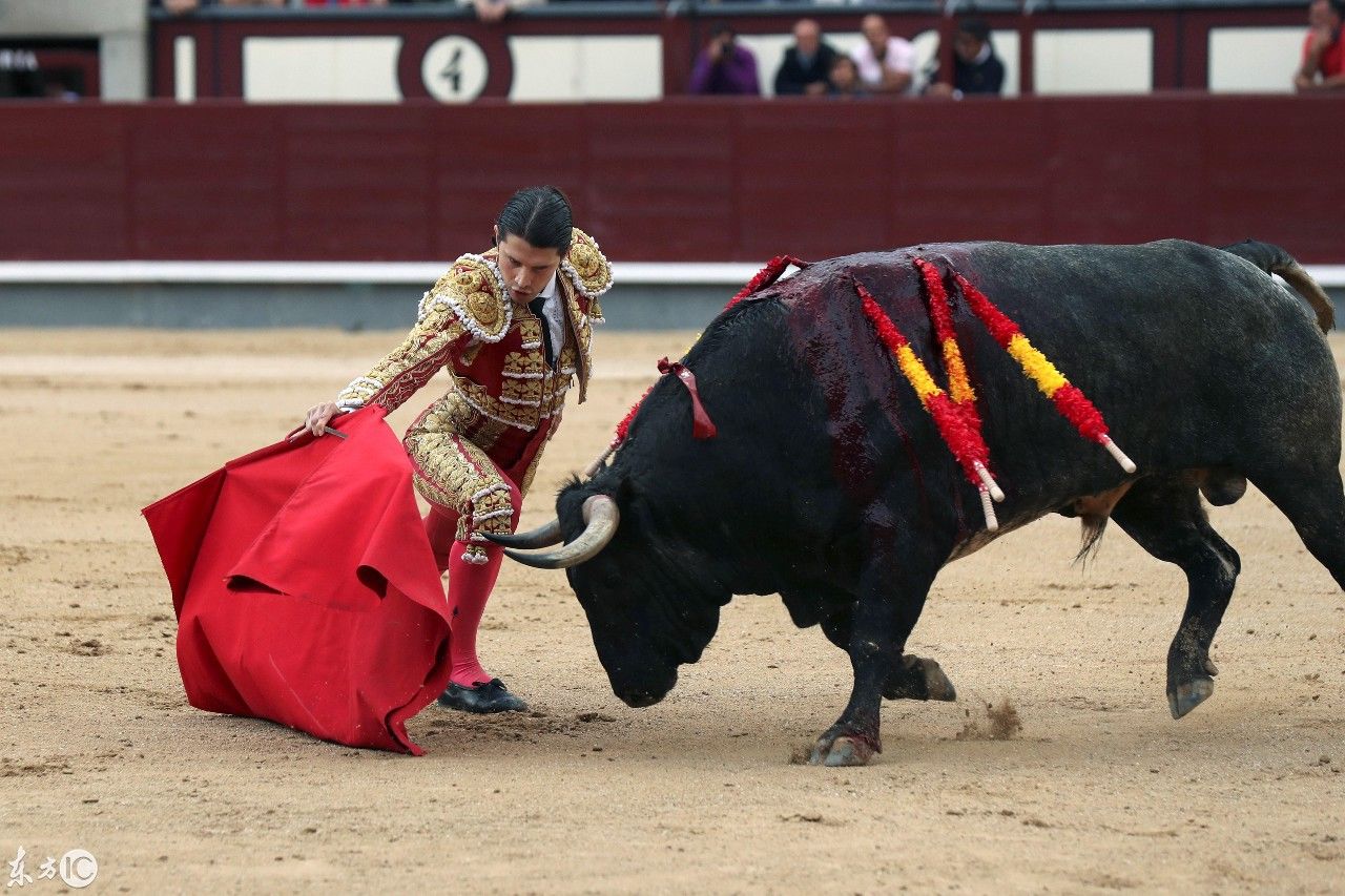 西班牙斗牛和中国掼牛,都是中外历史文化遗产