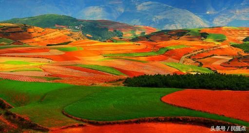 5月的云南美美滴-与大家一同分享云南旅游 摄影的景色