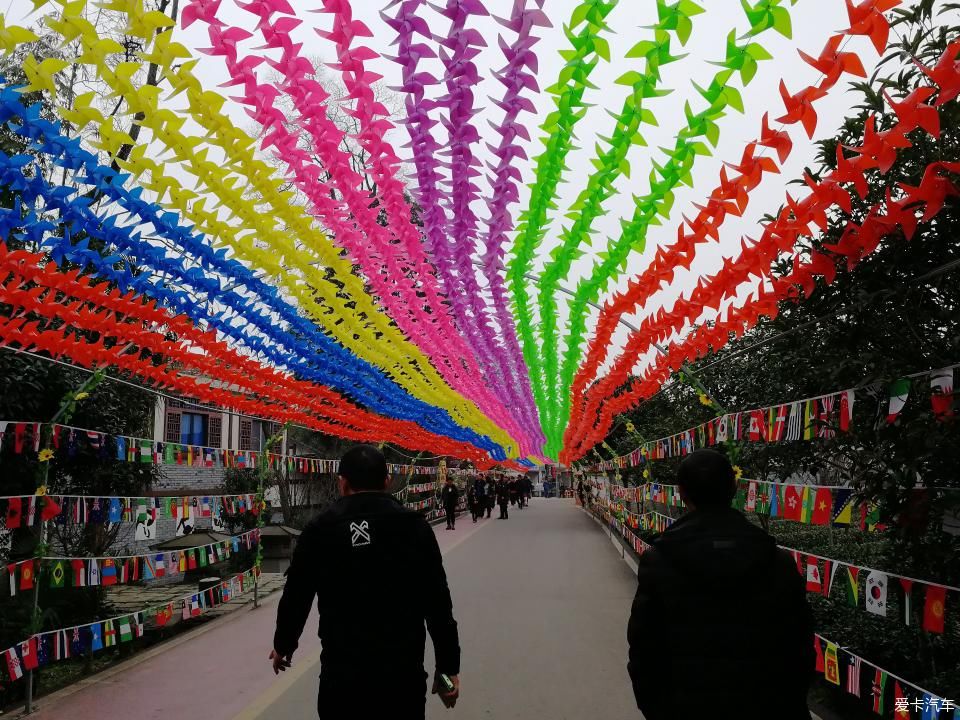 参观牛碾坪万亩观光茶