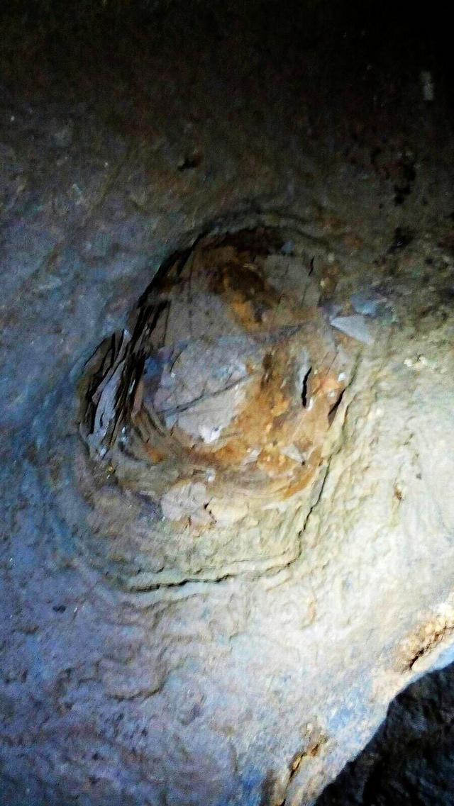 安徽洞穴探险队--探秘六百丈洞穴,发现神秘生物巢穴