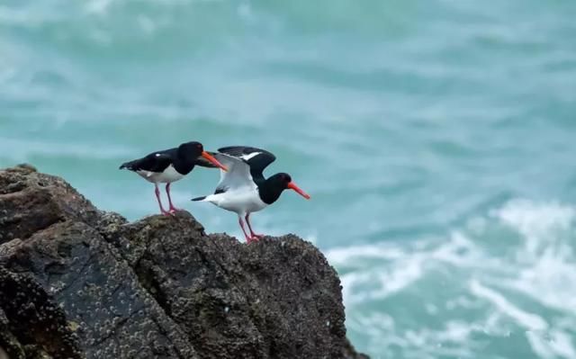碧海蓝天，去这个小众海岛坐拥漫天繁星，寻觅一个隔世美梦!