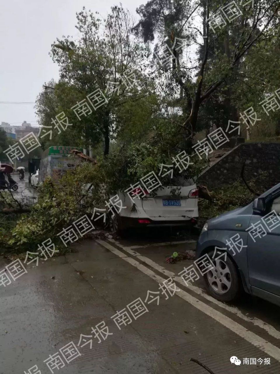 热到35℃、狂风暴雨冰雹!广西天气虐人，下周降温跌至7℃