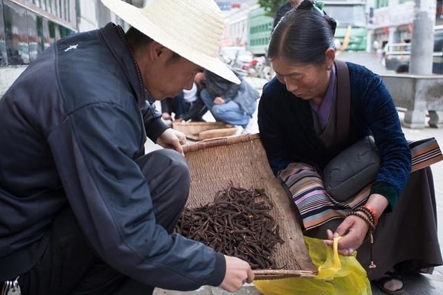 追着磕长头的脚步，走进眼睛的天堂