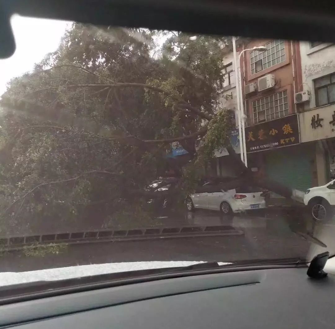 江西地区1人遭雷击！狂风暴雨雷电袭赣！多地受灾