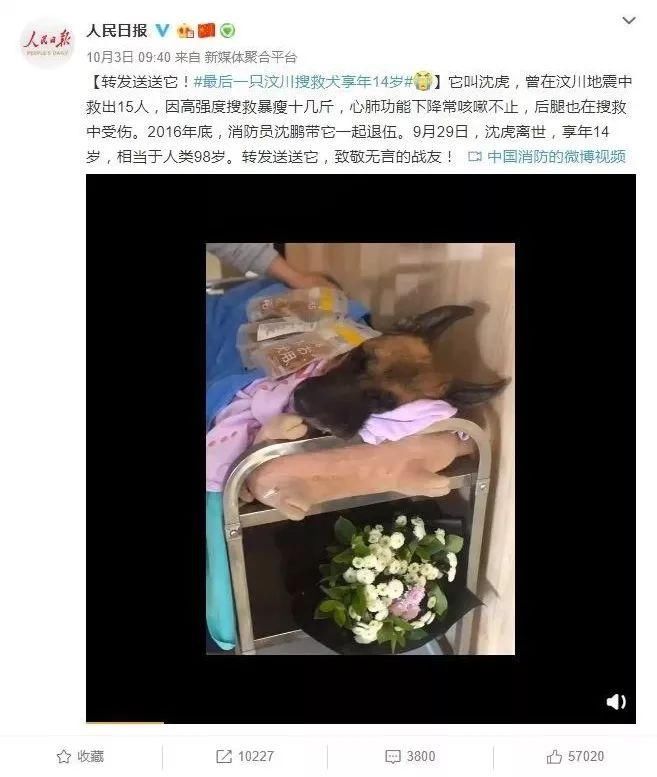 中国的地震救