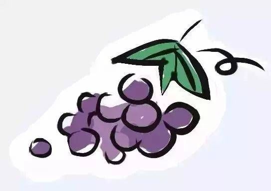 水果什么时候吃比较好?空腹能吃水果吗?一起