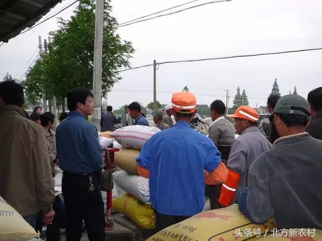 好消息！粮贩子以后不敢再压价了！