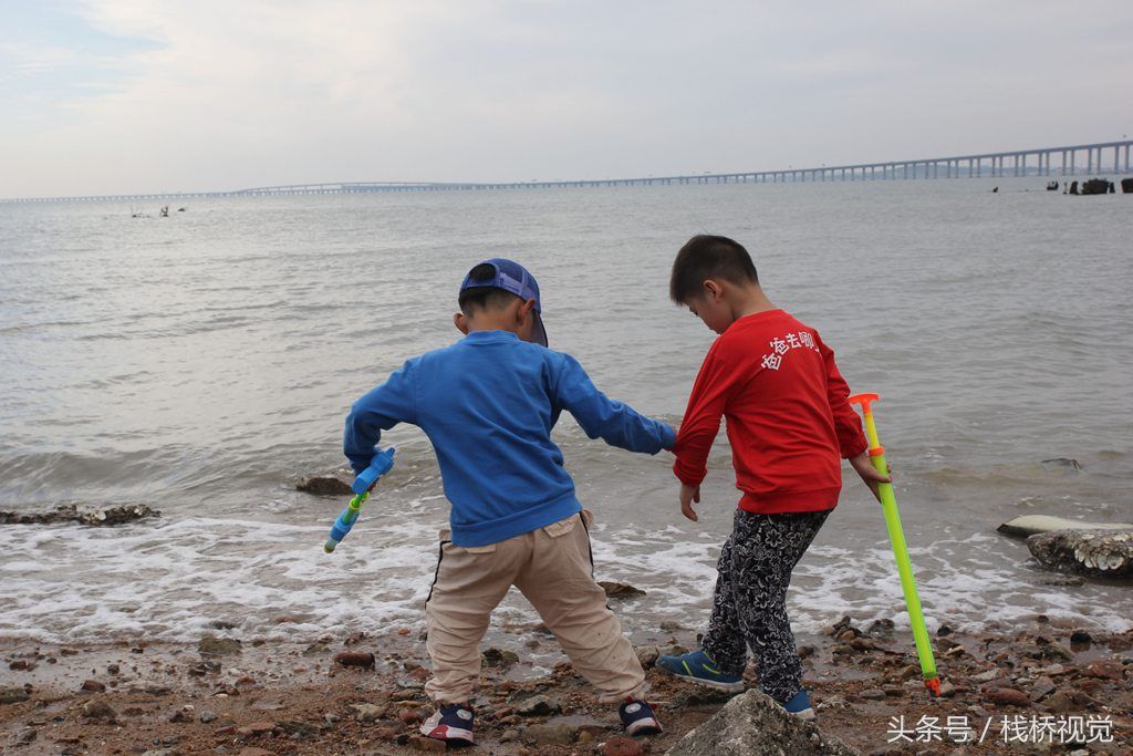 青岛胶州湾小螃蟹泛滥，赶海能抓好几百只回家油炸下酒爽歪歪