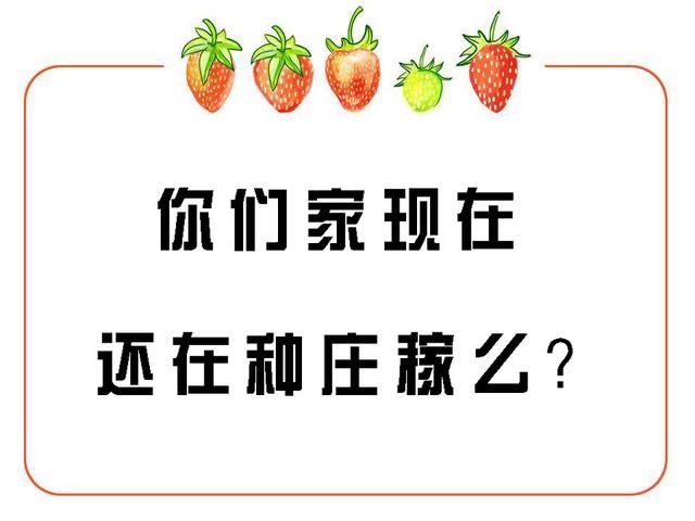 明知道种地不挣钱，还是特意回家收麦子，这不是傻!