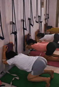搞笑GIF:老板,菜单已经列出来了,怎么做你说了算 银河娱乐场官方网站下载