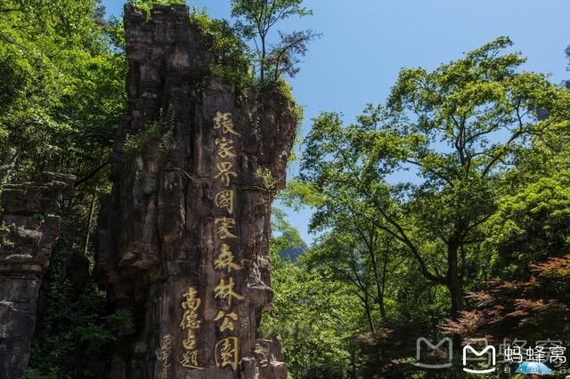 张家界森林公园2日行程，沉迷于湘西的醉人山色