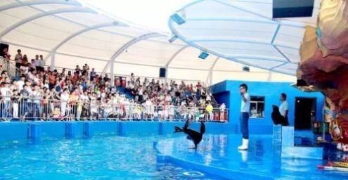 钢琴教师资格证