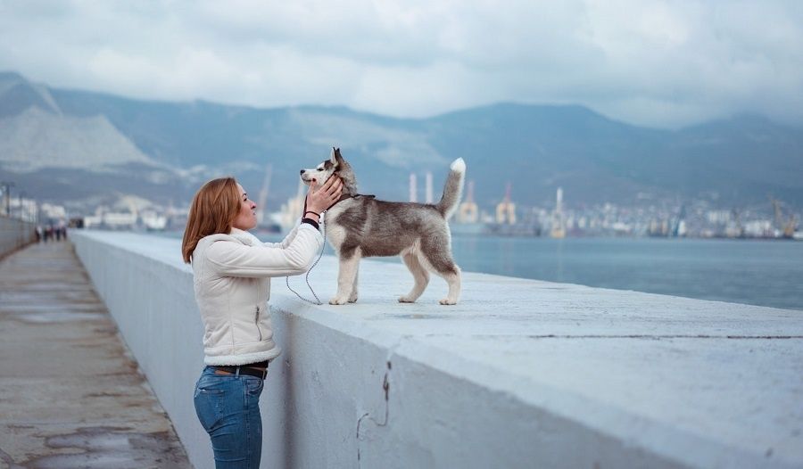 史上最催泪心理研究:戒掉前任像戒掉毒瘾一样痛苦