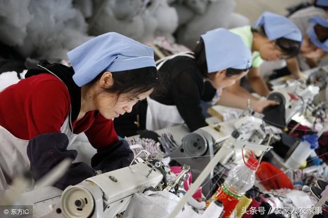 农民没地怎么办？这3种方案，你可以试试