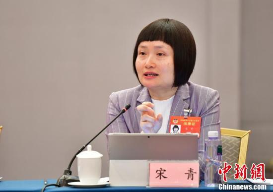 全国政协十三届二次会议中国民主建国会界别举行小组会议 全国政协十三届二次会议中国民主建国会界别举行小组会议