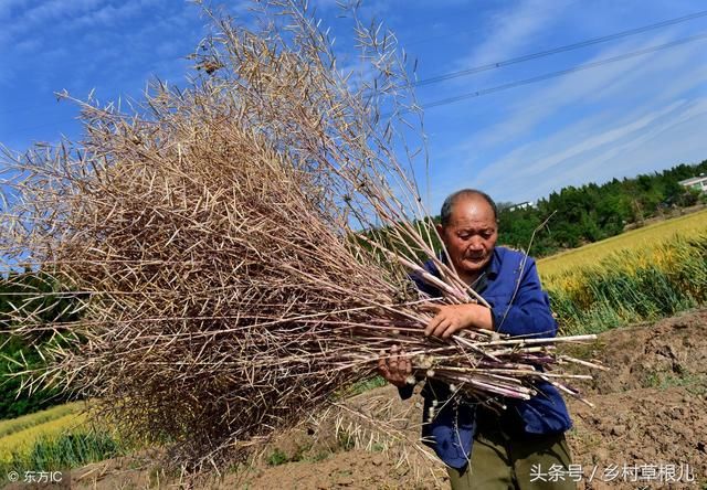 都说农村的退休年龄是多少，但是他们真的会有退休年龄吗？