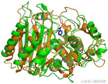科学家复活40亿年前古老蛋白质,将可用于研究