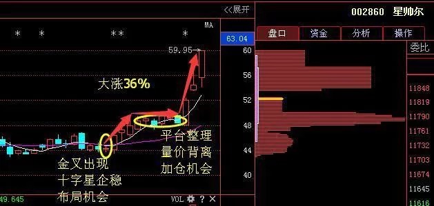 国产芯片+通信技术龙头股,周三午后收主力重仓