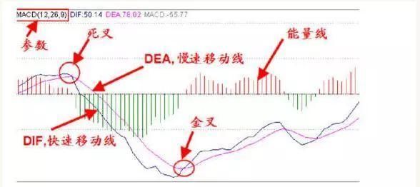 准确率最高的指标“MACD”，一指标战涨停，实盘验证超万次