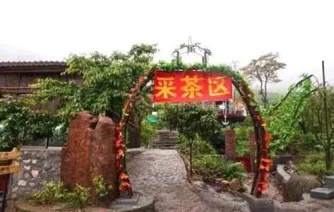 旅游攻略：连山皇后山，你去过吗？