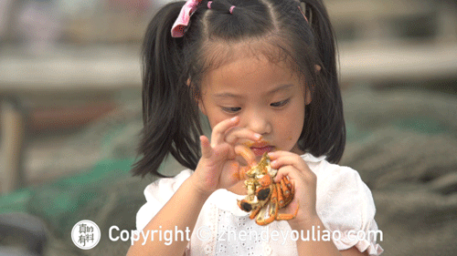 阳澄湖当地人最地道的大闸蟹吃法，操作简单，三分钟就学会_【今日爆点】