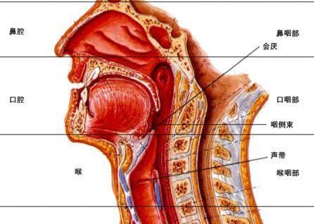 让失去喉咙的患者重新说话 这件事他们已经坚持了5年