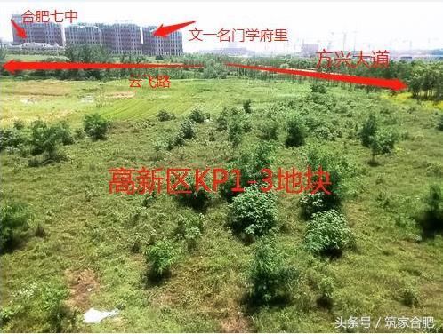 今年高新区首宗纯居住地块即将开拍 或贡献低密度房源1500套