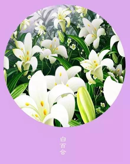 年末,感恩一路陪伴帮助我的人