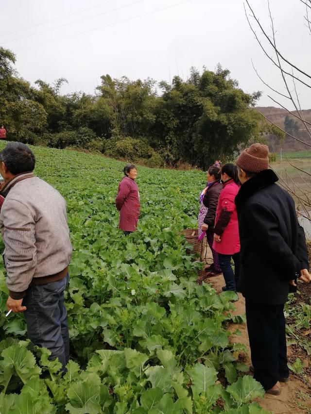 量土了，农民土地承包，真好吗