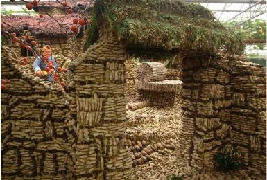 女子外出旅游参观博览会，发现一所怪房子，凑近看清后不禁惊奇了